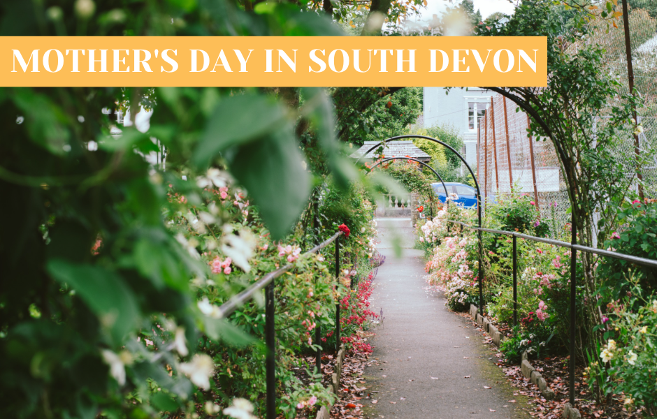 mother's day in south devon